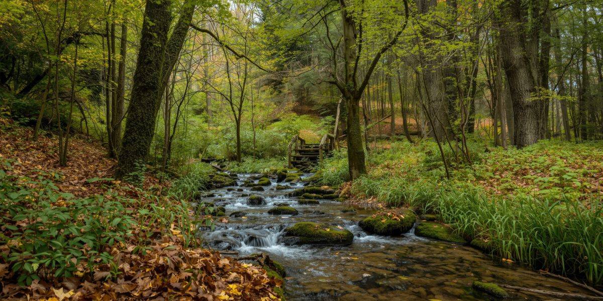 Dopo 40 anni la scoperta: c’è un tesoro d’acqua sotto la Pianura Padano-veneta