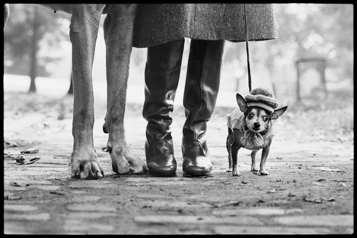 Elliott Erwitt