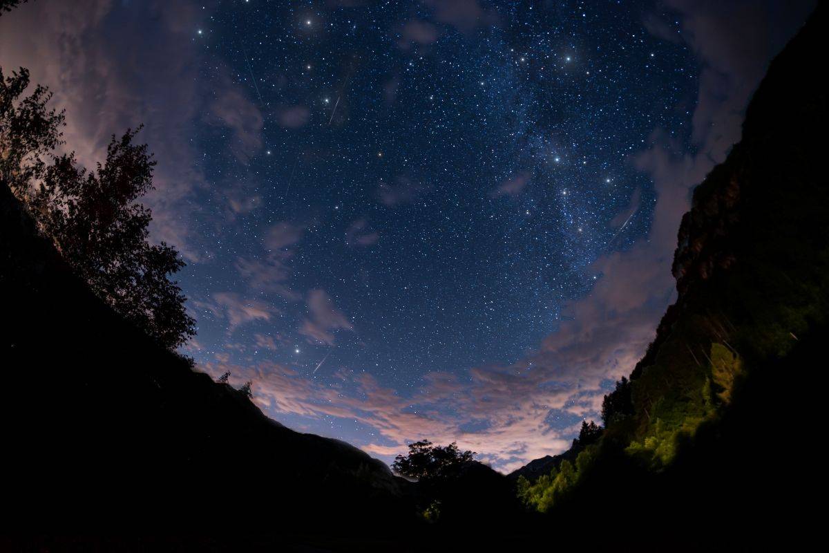 stelle cadenti