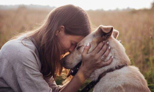 Cani e gatti, gli insospettabili confidenti della nostra quotidianità