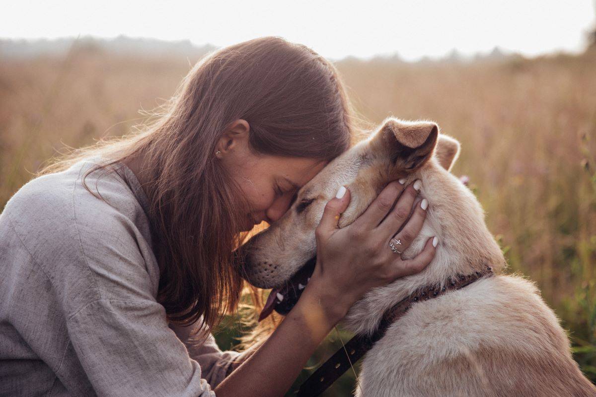 Cani e gatti, gli insospettabili confidenti della nostra quotidianità