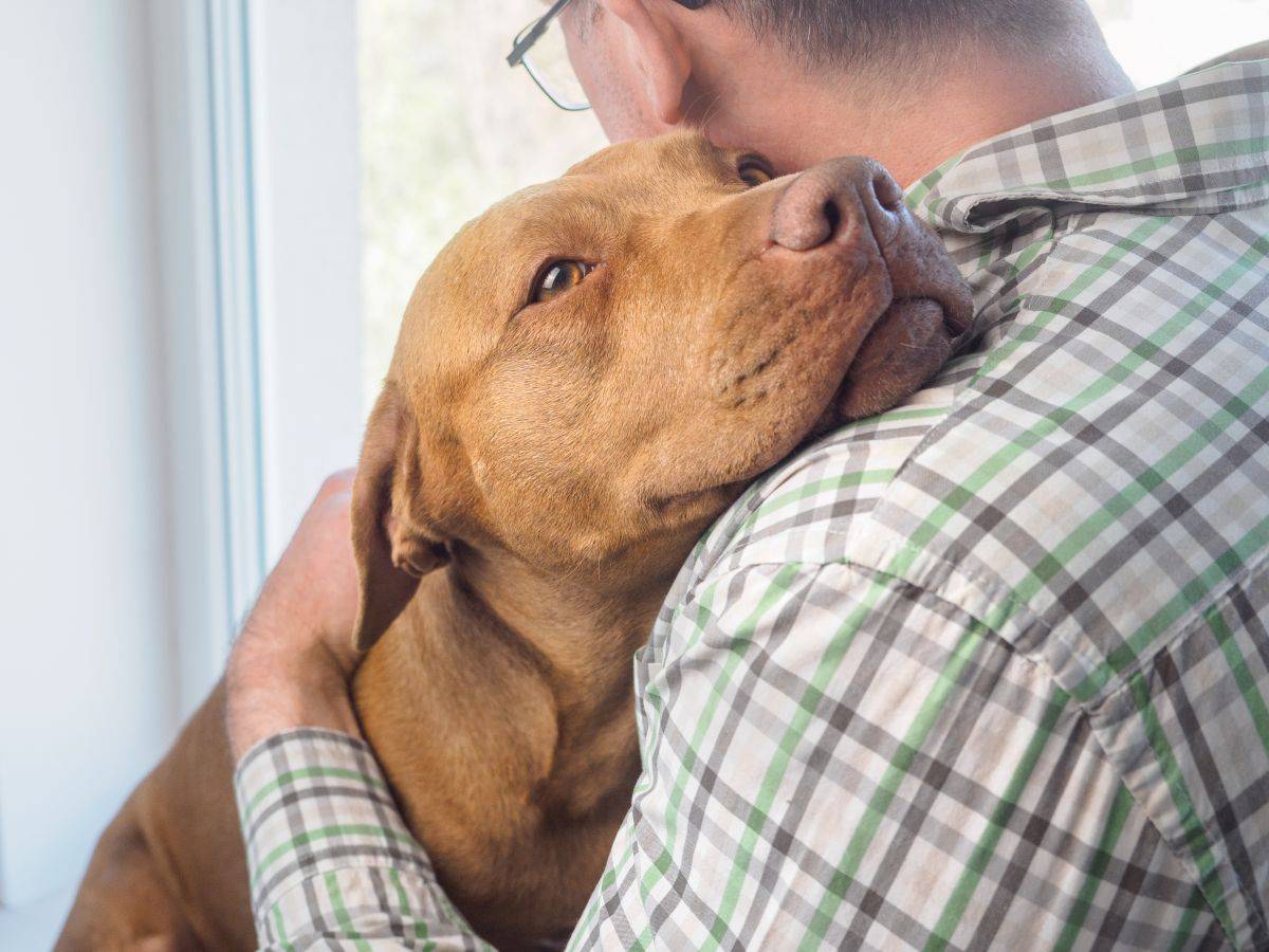 Animali nella tomba di famiglia: la svolta nei cimiteri