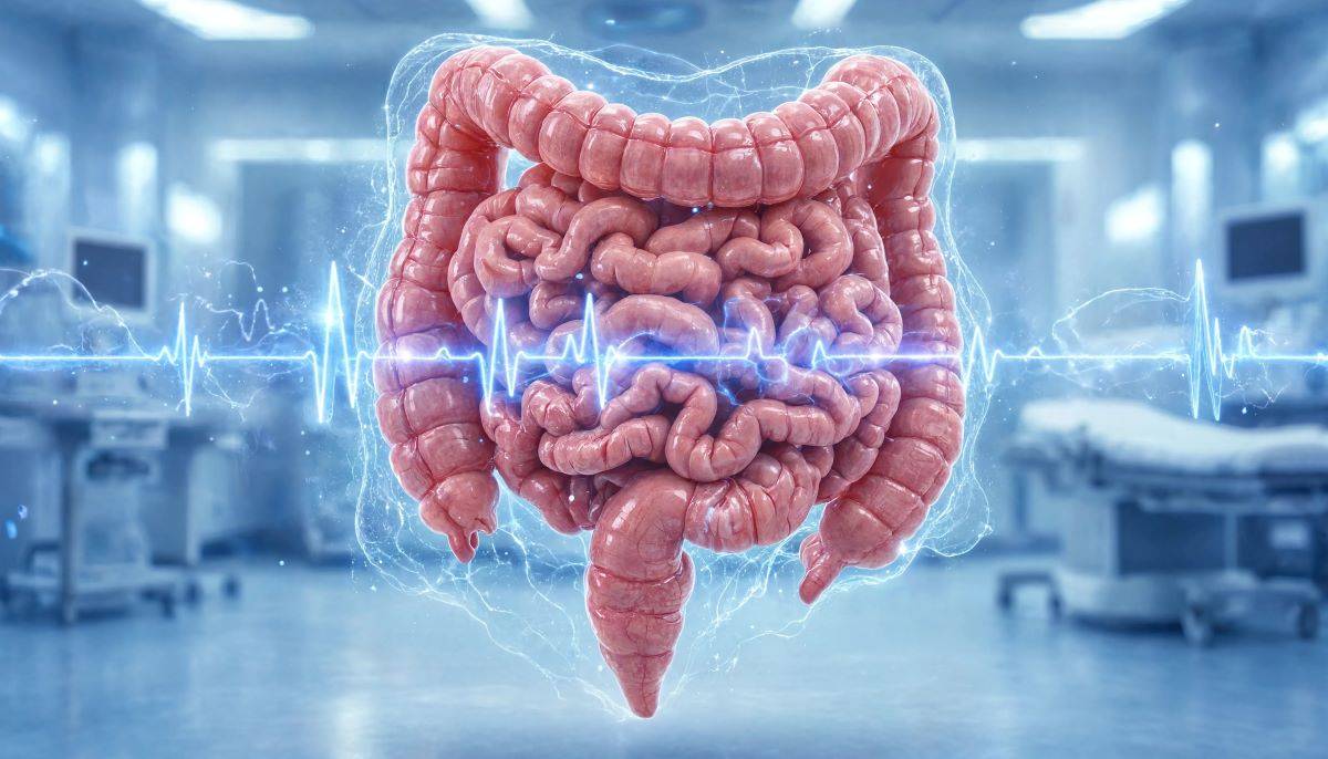 Dall'intestino alle fogne: la batteria che trasforma i batteri in una fonte di energia
