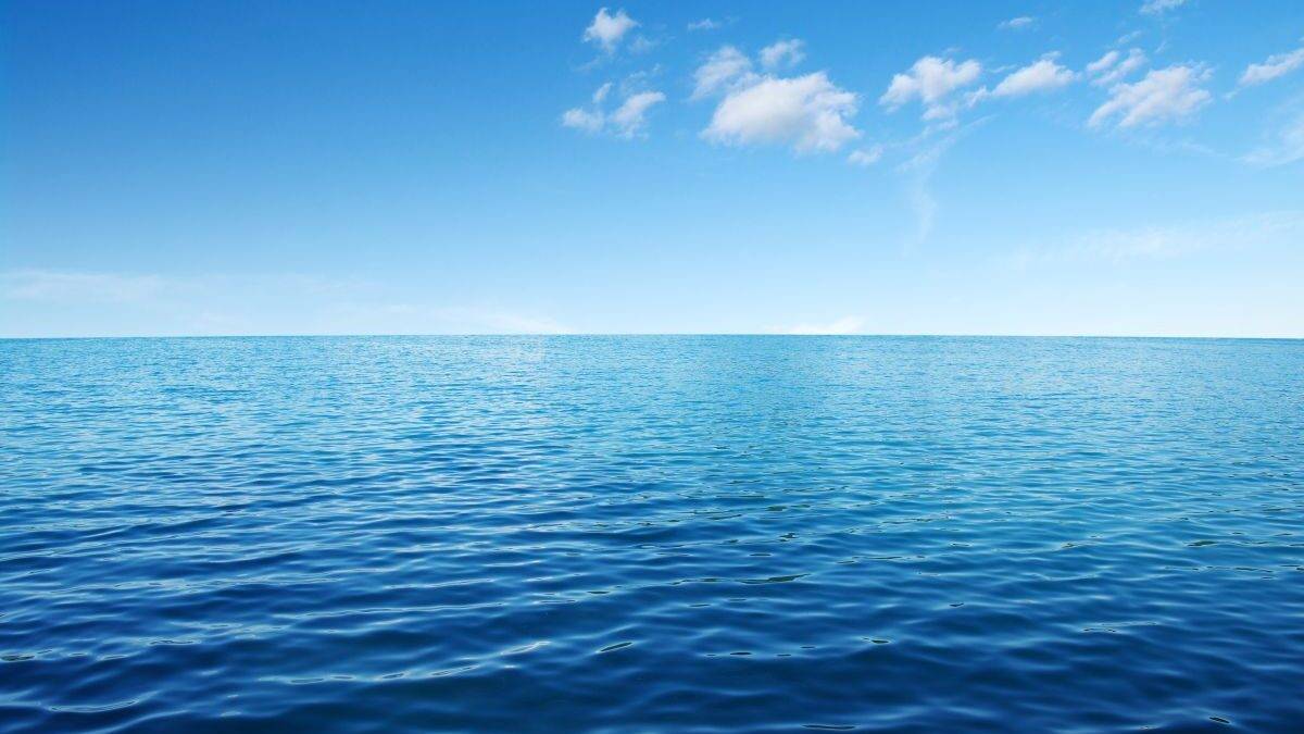 Il mare ha un cuore che batte: il suo ritmo può svelare la salute degli ecosistemi