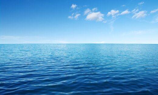 Il mare ha un cuore che batte: il suo ritmo può svelare la salute degli ecosistemi