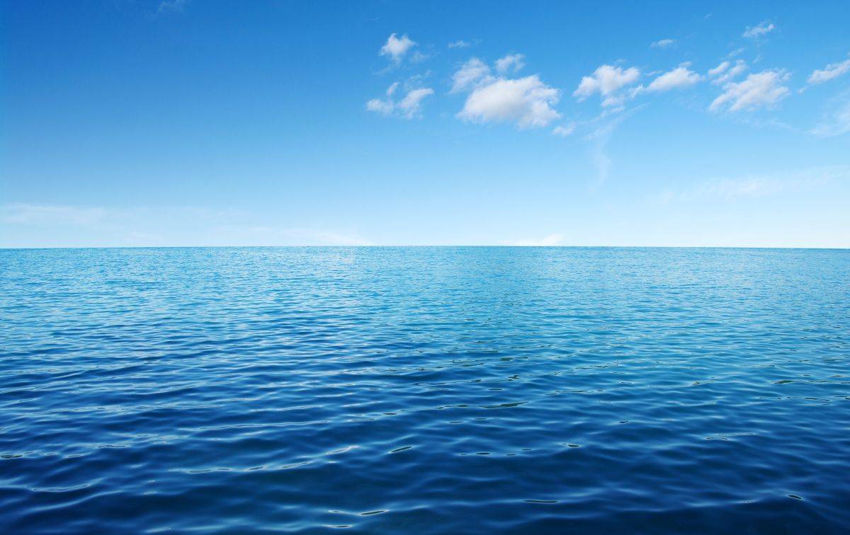 Il mare ha un cuore che batte: il suo ritmo può svelare la salute degli ecosistemi
